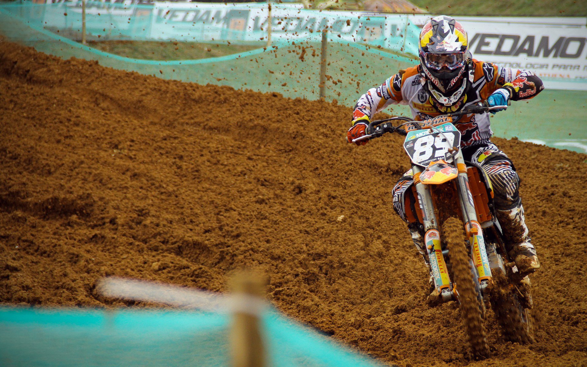 未来之星：关注潜力股的成长轨迹，未来之星指什么人物