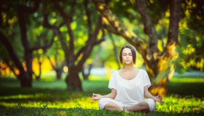 ky体育官网-芝加哥小熊队在赛季末取得连胜，芝加哥小熊队队服